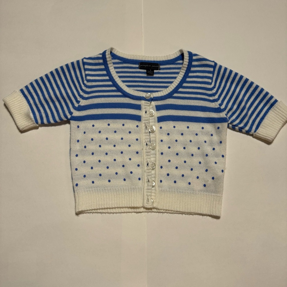 Pumpkin Patch Blue and White Striped Button Down Shirt
